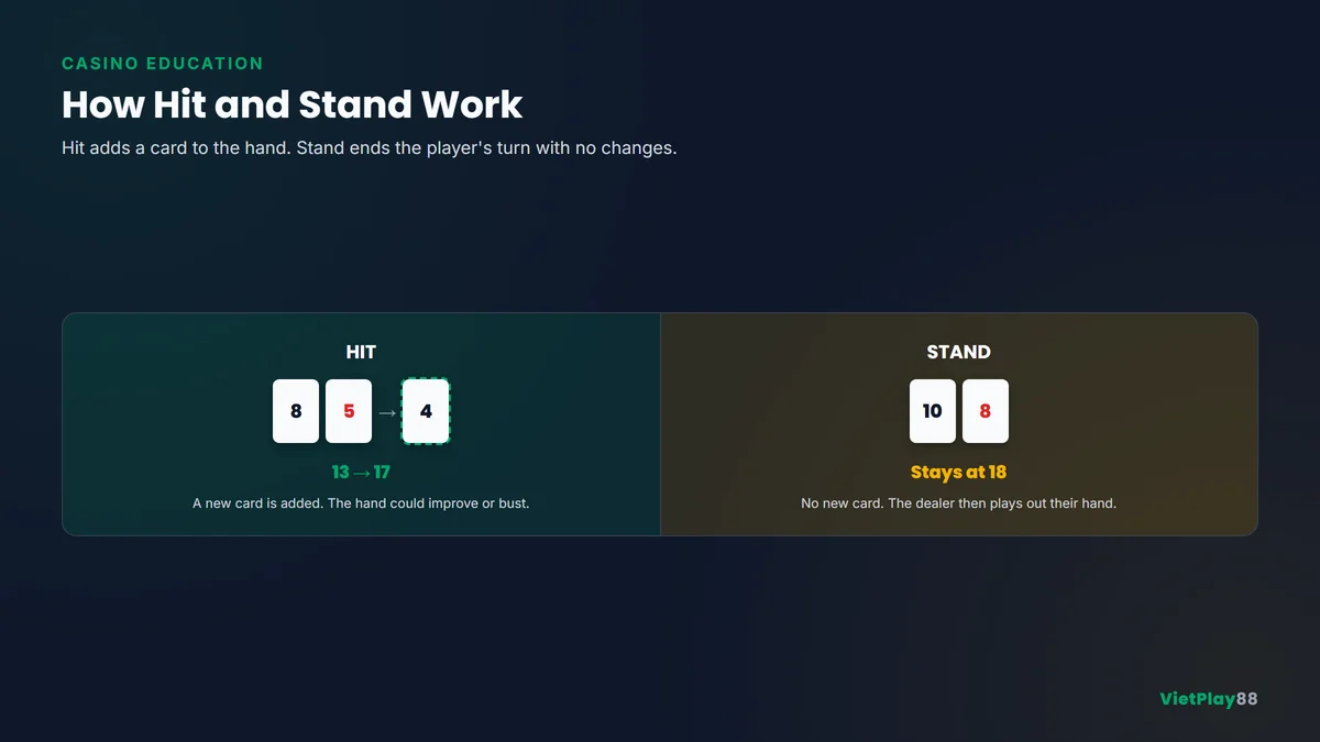 Cơ chế Hit và Stand trong Blackjack thể hiện việc nhận thêm bài so với giữ nguyên bài hiện tại
